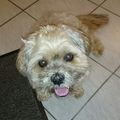 Balou unser größter Schatz
