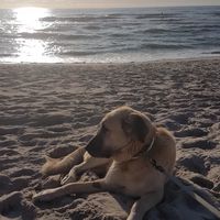 Am Strand war es immer am schönsten