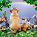 Hinter der Regenbogenbrücke