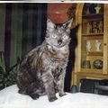 Mein Sternlein Minna mit 12 Jahren