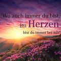 Dem Auge so fern, dem Herzen ewig nah Bobby ❤️