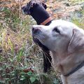 Kaba und Max, beide wieder vereint 