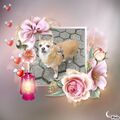 Mein für immer vermisster Herz-König ☆♡JIMMY ♡☆