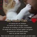 In ewiger Liebe ❤️