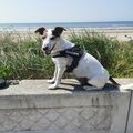 Unser letzter Strandtag zusammen 