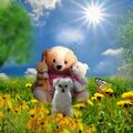 Snowys lieblings Teddys ❤️