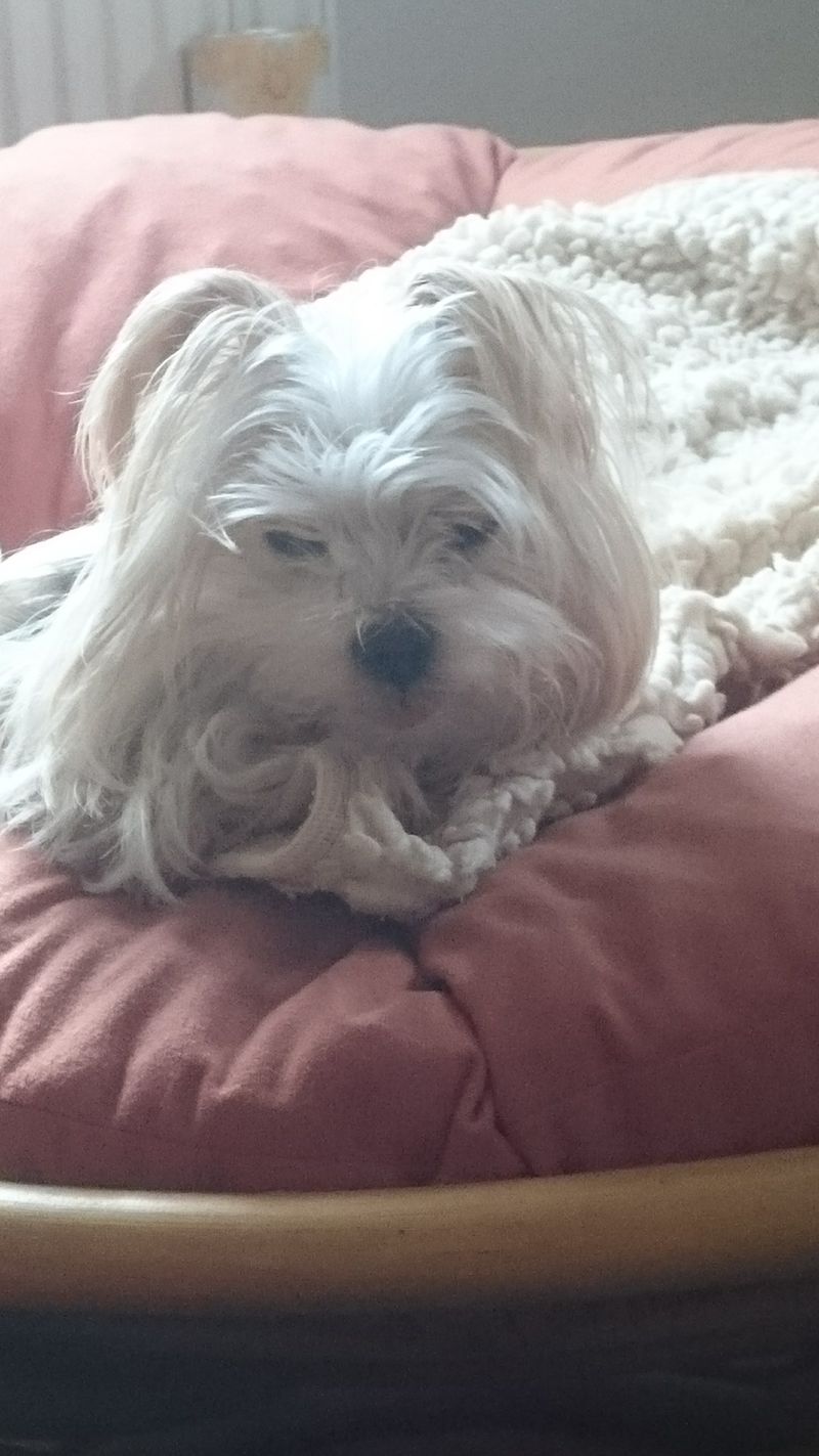 Missy Augenblicke Erinnerungen An Dich Sind Unser Trost Und