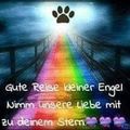 Für Timmy 26.04.2020
