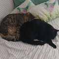 Eddy und Mogli 