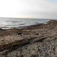 Am Strand