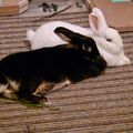 Candy mit Finja