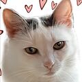 Amy 
