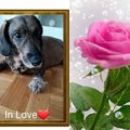 Morgen bist du endlich wieder zu Hause ❤️ ❤️ Mein kleiner