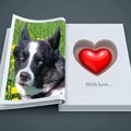 Sam *26.04.2006
         +15.01.2019