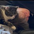 Meine große Liebe Mausi 
Auch dieser Moment ist immer in meinem