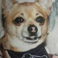 Mein für immer vermisster Herz-König ☆♡JIMMY ☆♡