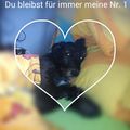 Ich liebe Dich