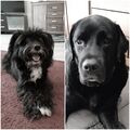 Fia und Nero