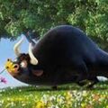 Wie ein kleiner Ferdinand im Herzen. Tucker du bist toll 
