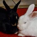 Candy und Finja