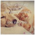 Balou geht es gut, sei nicht traurig