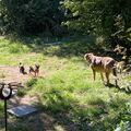 Du und die zwei Kleinen …