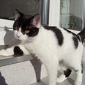 Micki