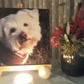 Unser geliebter Samy ♥️⭐♥️