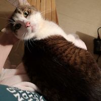 Mein kleiner Held