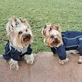 Nobi (rechts) und ihre Tochter Jessie 