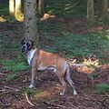 Tucker "He Floyd, hier liegen welche."
