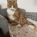 Alice (15,5 Jahre alt)