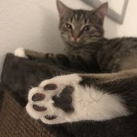 Immer ruhig und ausgeglichen