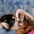 In Liebe deine Schwester ❤️