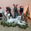  von links Naika, Beverly, Tochter Diana, liegend Escada
