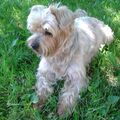 Unser lieber Jacki❤