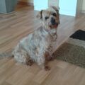 Unser lieber Jacki❤