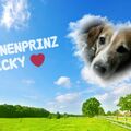 Für immer geliebt und unvergessen ❤