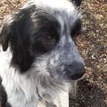 mit Seppi