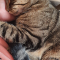 Dein kuscheln fehlt mir lino,????ich will dich einfach nur zurüc