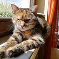 Mein Sonnenschein Pauline ♥️