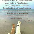 Dem Auge so fern, dem Herzen ewig nah Casper ❤️