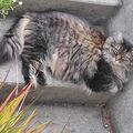 Mai 2009 - Mai 2023