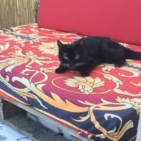 Relaxen in der Sonne