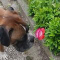 Welcome home - für immer bei uns. 