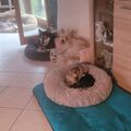 Henry mit seiner besten Freundin 
