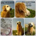 Genau heute vor 7 Jahren ❤️