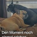 Robby,er vermisst dich auch sehr Gott sei dank hat er Bonny