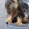 Andy mein schatz