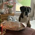 Schade, dass Du heute nicht mitfeiern konntest, meine Prinzessin 